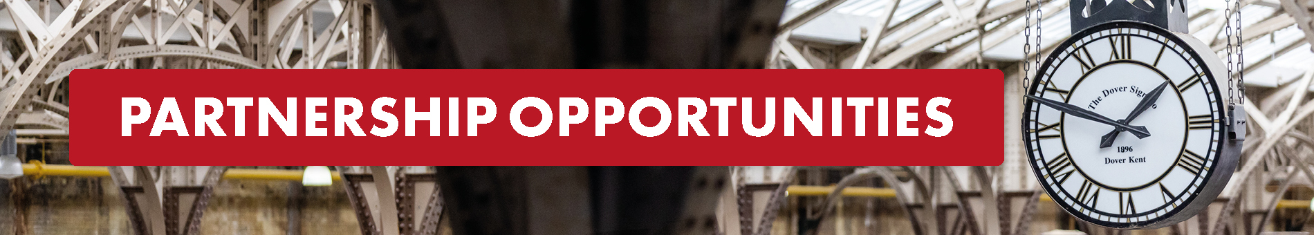 Partnership Opportunities