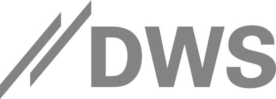 DWS Group