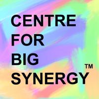 Centre for Big Synergy, a United Nations CSO