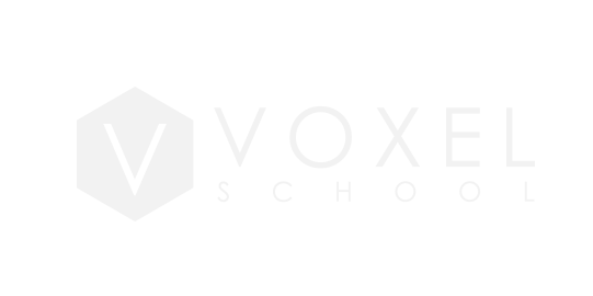 VOXEL